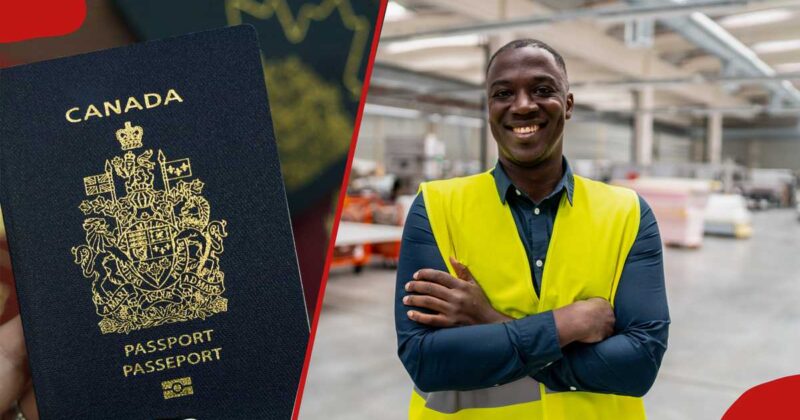 Canada Targets Additional 230k Foreign Workers in Jobs Paying KSh 3k to 4k Per Hour