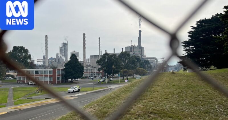 Maryvale paper mill cuts 84 jobs, blaming Victorian government for lack of timber