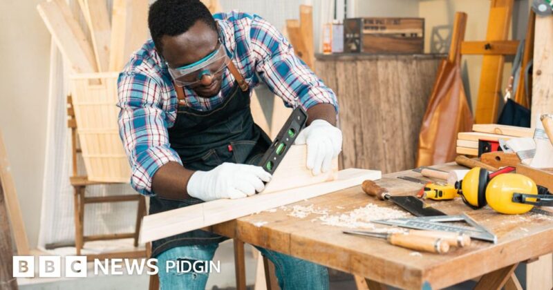 UK temporary work visa: 82 jobs dey shortlisted by authorities for first stage