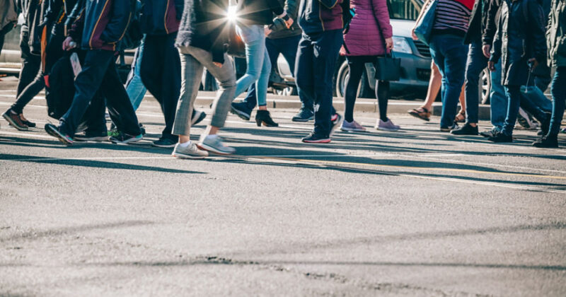 Jobless rate rise points to softer labour market