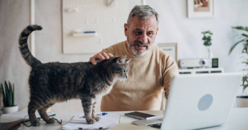 30 Big Companies That Hire Remote and Hybrid Workers | Careers